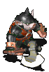 116393.gif